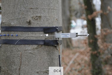 周長生長測量傳感器