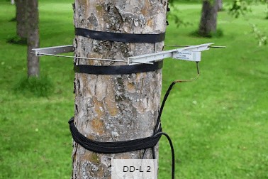 直徑生長測量傳感器