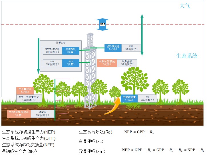陸地生態碳匯綜合解決方案