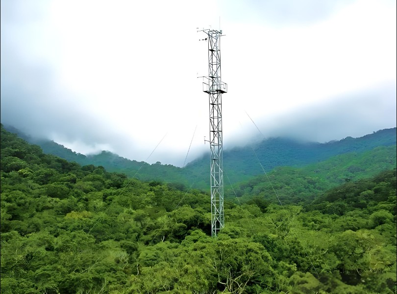 森林物候監測解決方案